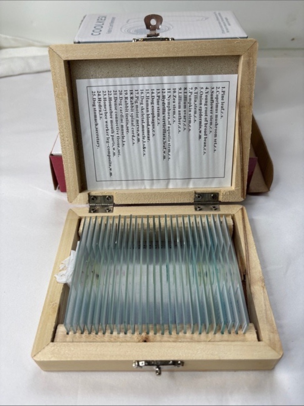 Child’s Microscope and Slide Kit Bundle NEW - Picture 10 of 15